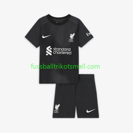 Fußballtrikots Liverpool Torwart Kinder 2022-2023 Kurzarm Auswärts-trikot kaufen